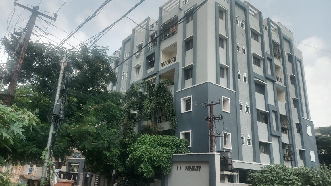 Bliss Paradise Landscape Views